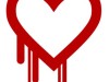 Découverte du bug Heartbleed