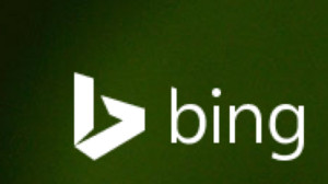 binglogo