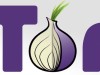 Tor : l’oignon en question